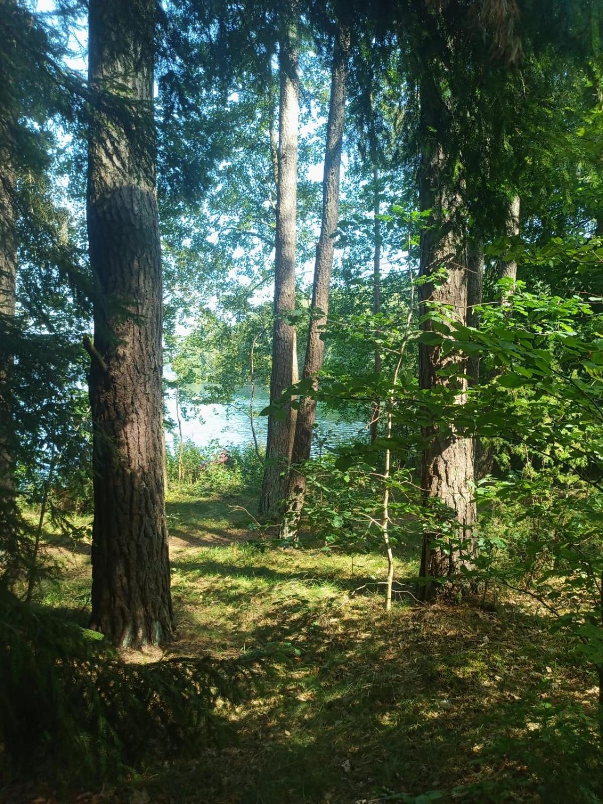 Holiday home Na Kaszubach, Borowy Mlyn, Jezioro Gwiazda, Sauna, 3